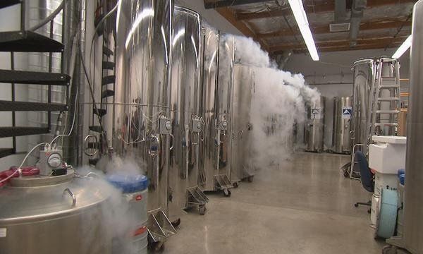 Крионика: Наука о замораживании жизни