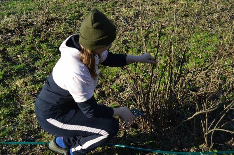 Апрель в саду и на огороде: когда начинать важные работы