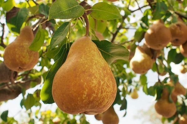 ������� � ����������� ����� ����