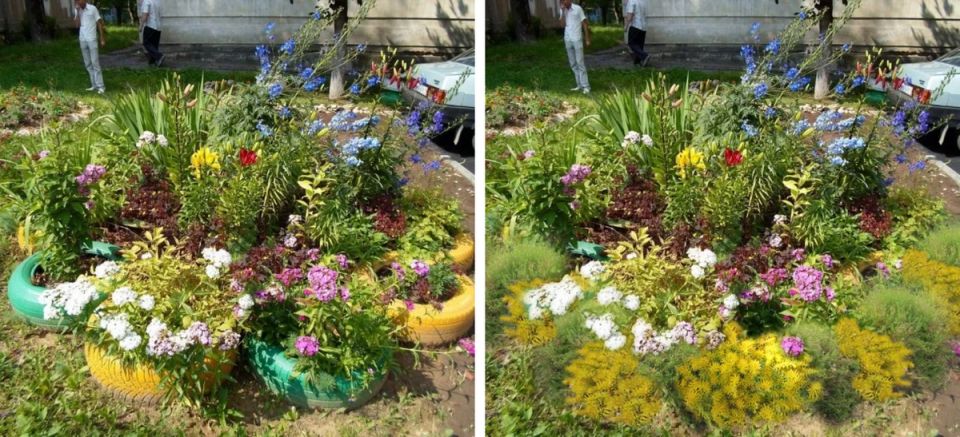 Как преобразить цветник: советы и идеи для идеального сада